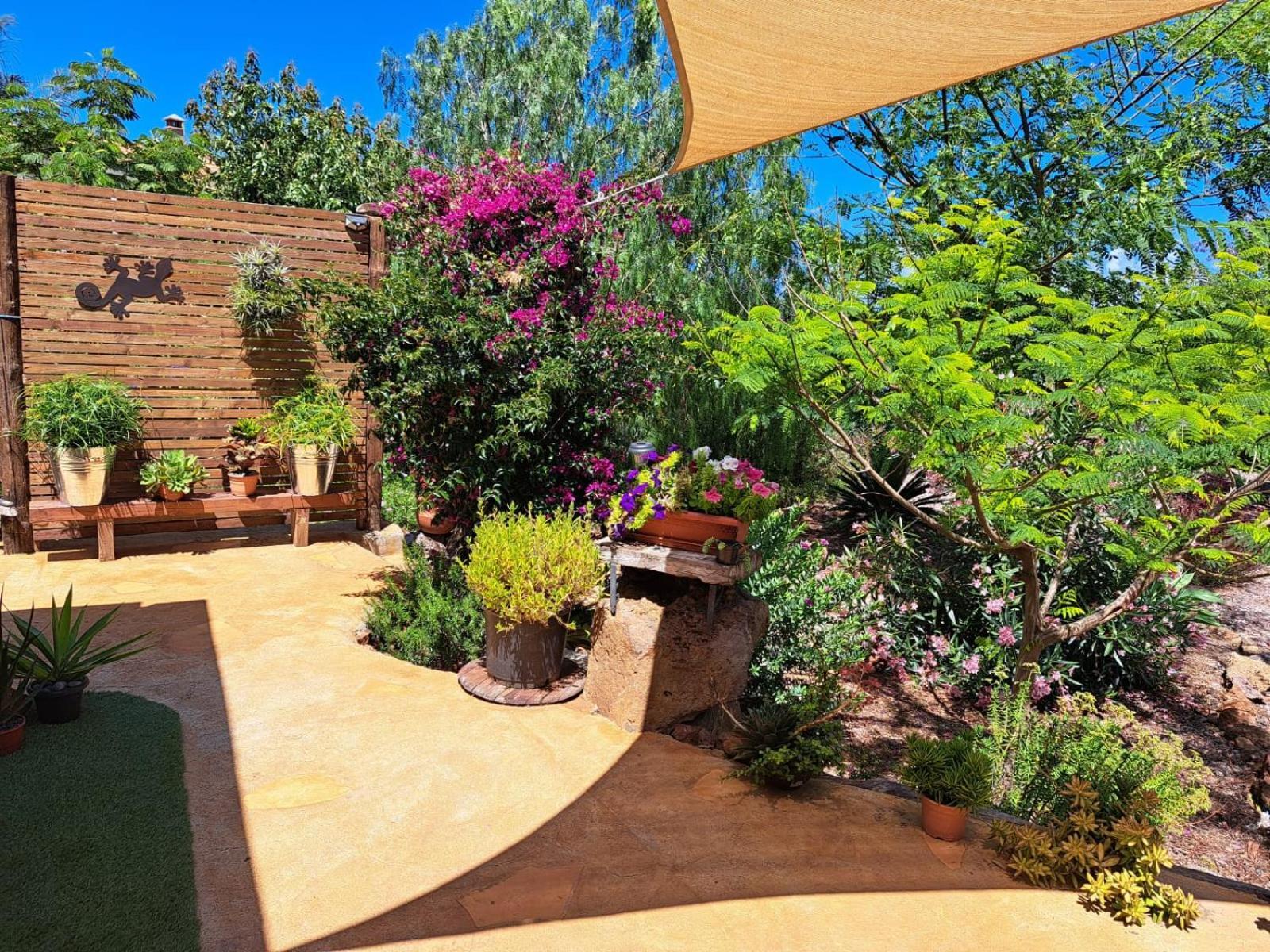 Casa Nogal Apartment Puntagorda  Luaran gambar