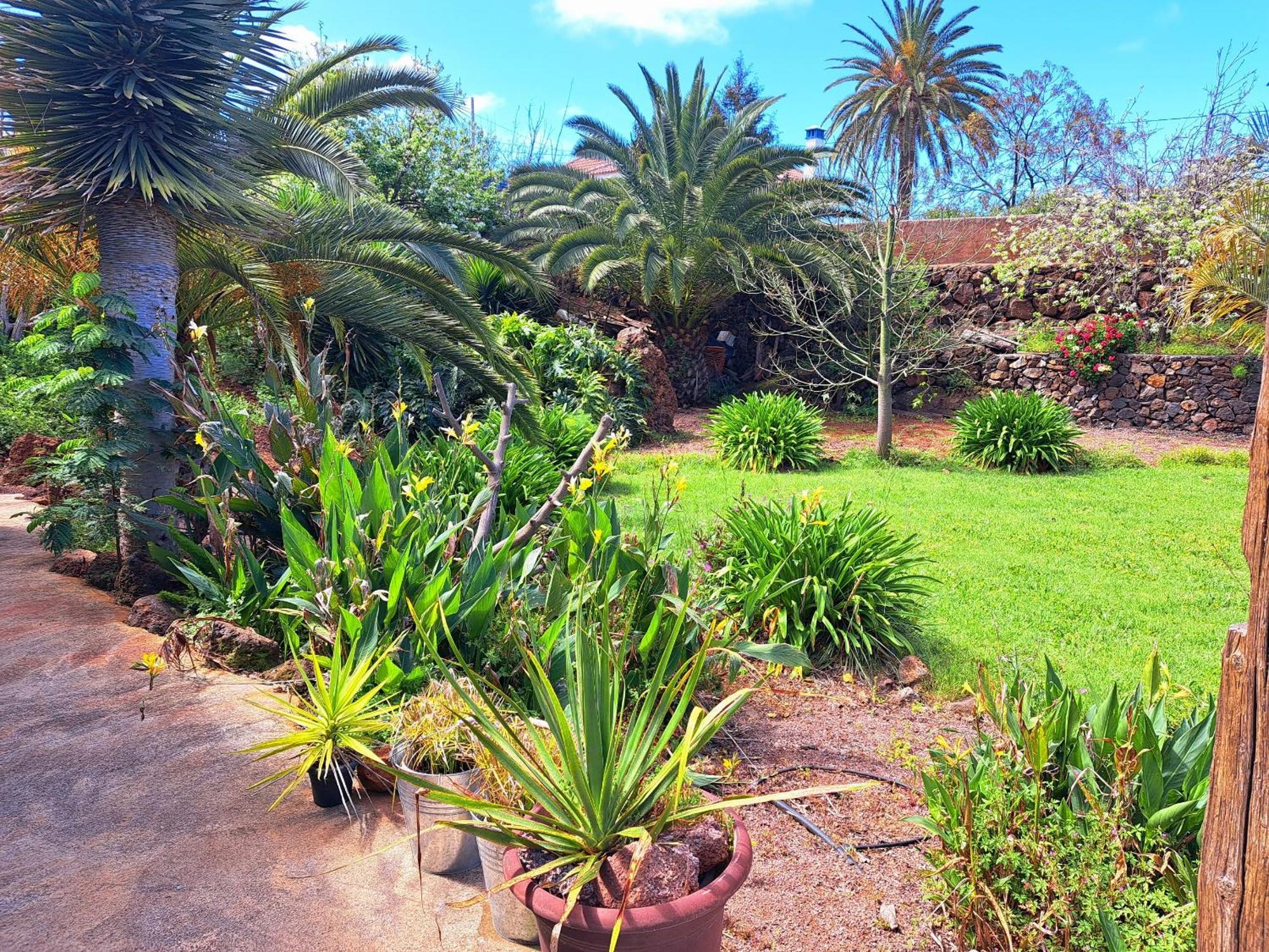 Casa Nogal Apartment Puntagorda  Luaran gambar